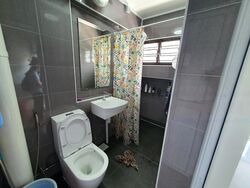 Blk 529 Choa Chu Kang Street 51 (Choa Chu Kang), HDB 4 Rooms #462861561